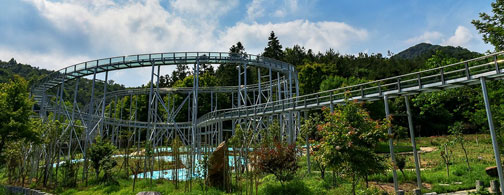 开云体育官网登陆