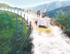 开云体育官网入口登录