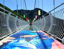 开云体育官网下载